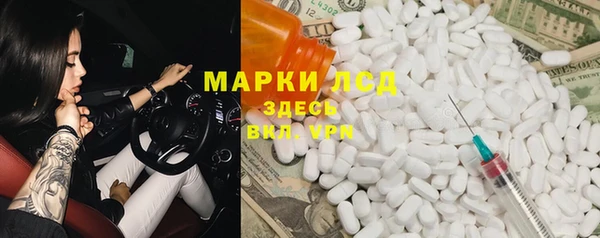 прущие грибы Алексеевка