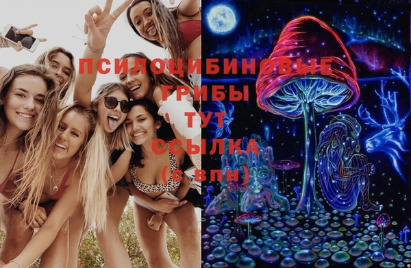 ГАЛЛЮЦИНОГЕННЫЕ ГРИБЫ Алексин