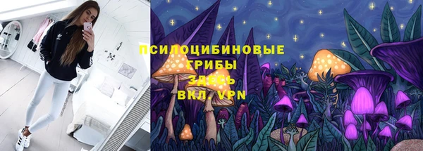 прущие грибы Алексеевка
