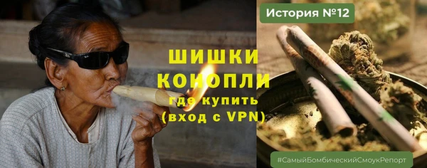 прущие грибы Алексеевка