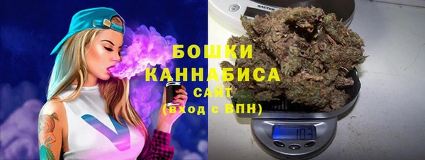 ГАЛЛЮЦИНОГЕННЫЕ ГРИБЫ Алексин