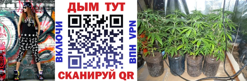 продажа наркотиков  Красноармейск  blacksprut ONION  Бошки марихуана конопля 